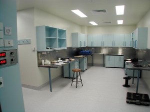 Westmead Hospital Bone Marrow laboratory workstations